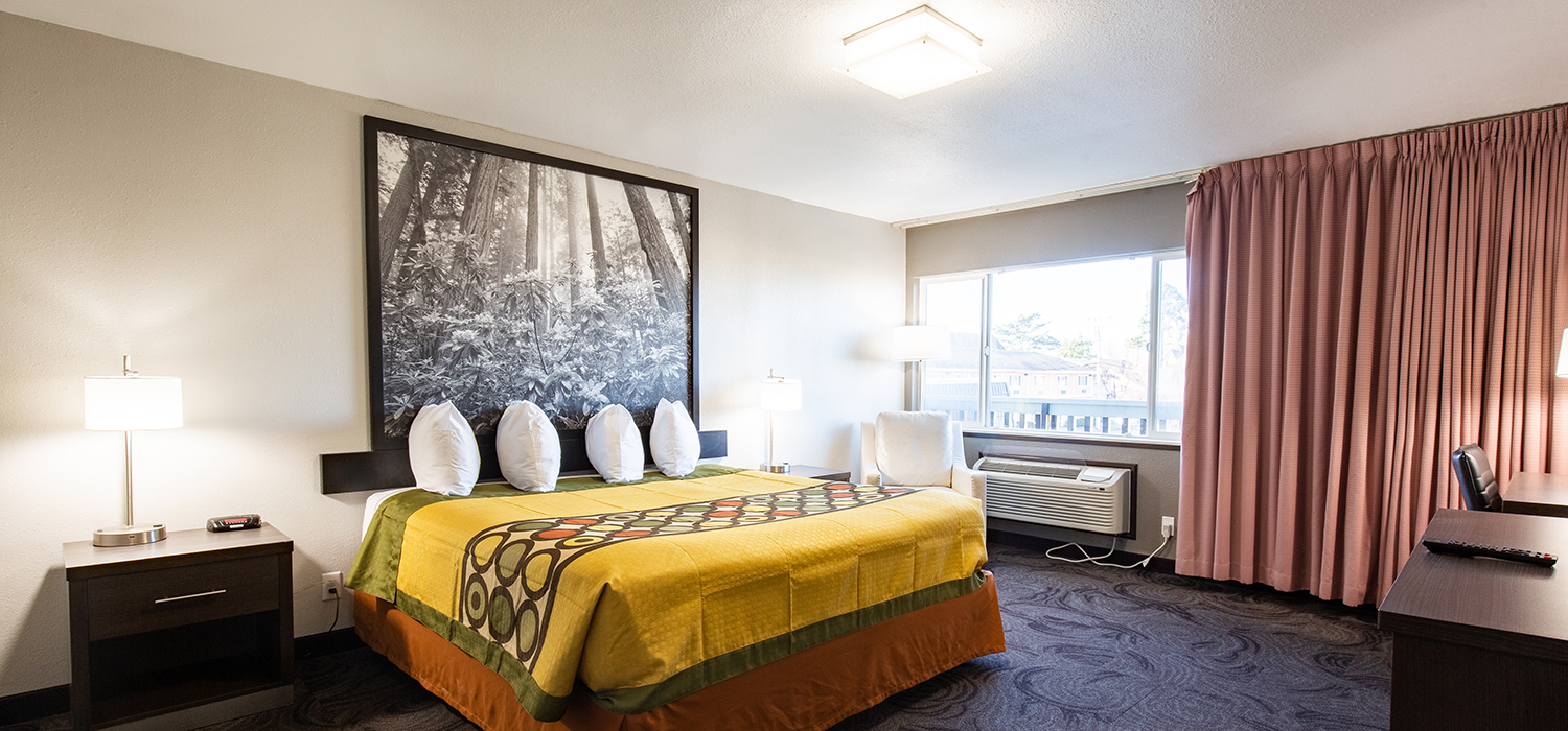 Stay in a Stylish and Comfortable Room or Suite