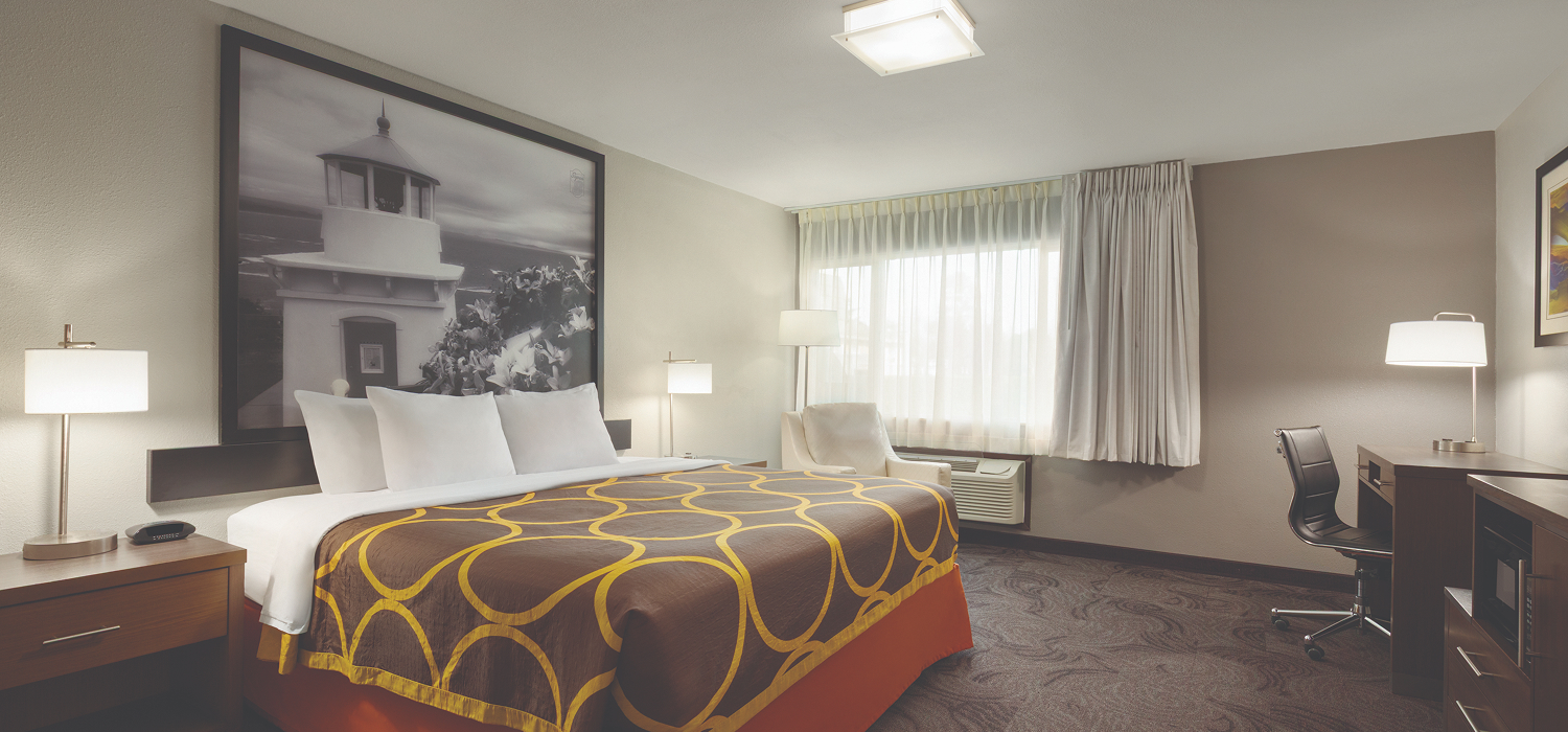 Stay in a Stylish and Comfortable Room or Suite