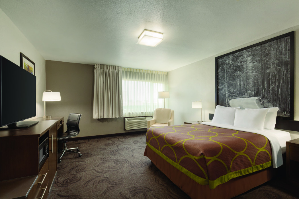 1 QUEEN BED ACCESSIBLE NON-SMOKING